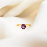 Rhodolite Garnet Circle Ring